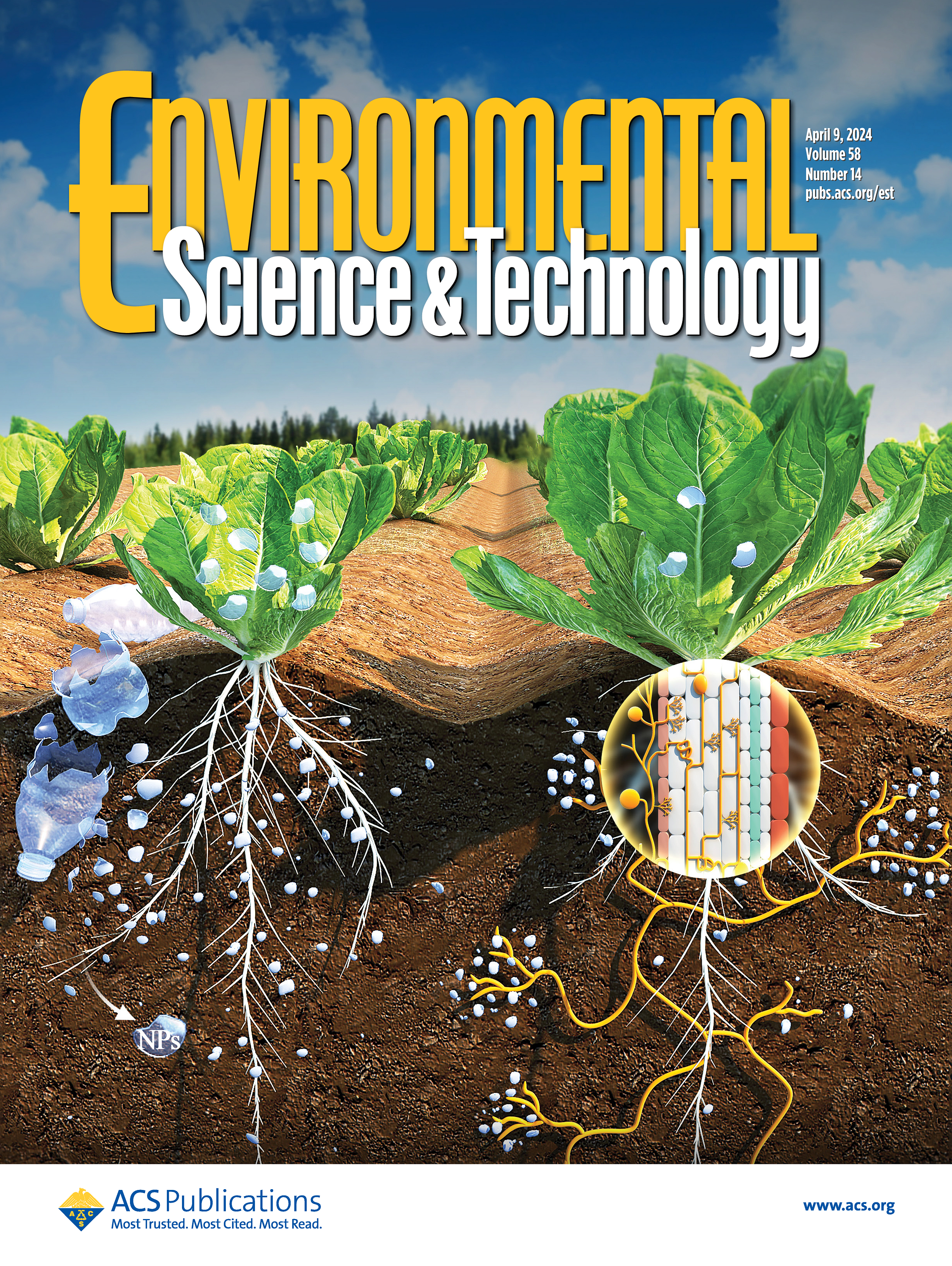 Symbiotic fungi facing nanoparticles (EST Supplementary Cover)